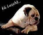 Meine Sicht 2025_09